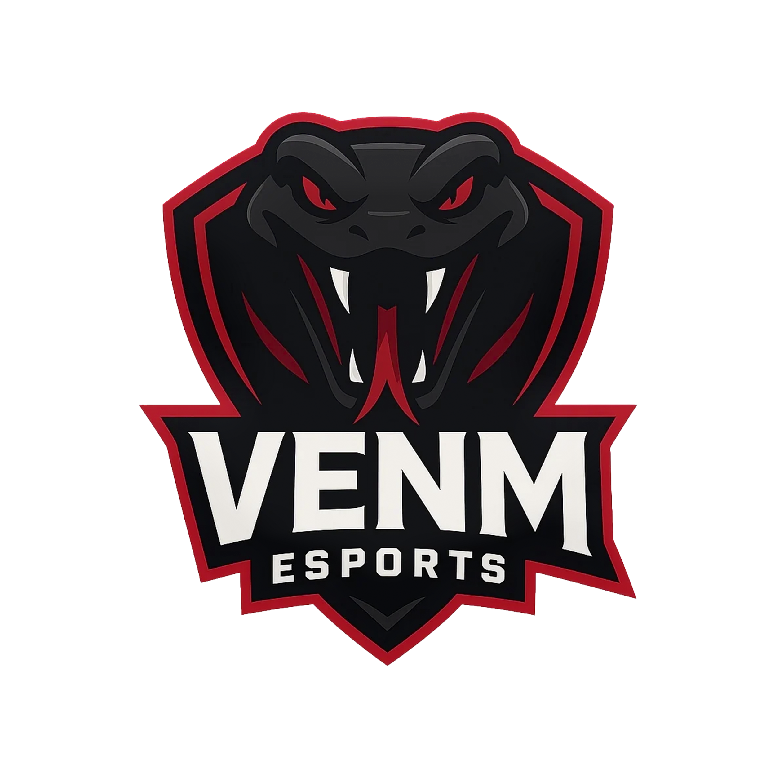 VENM E-SPORTS