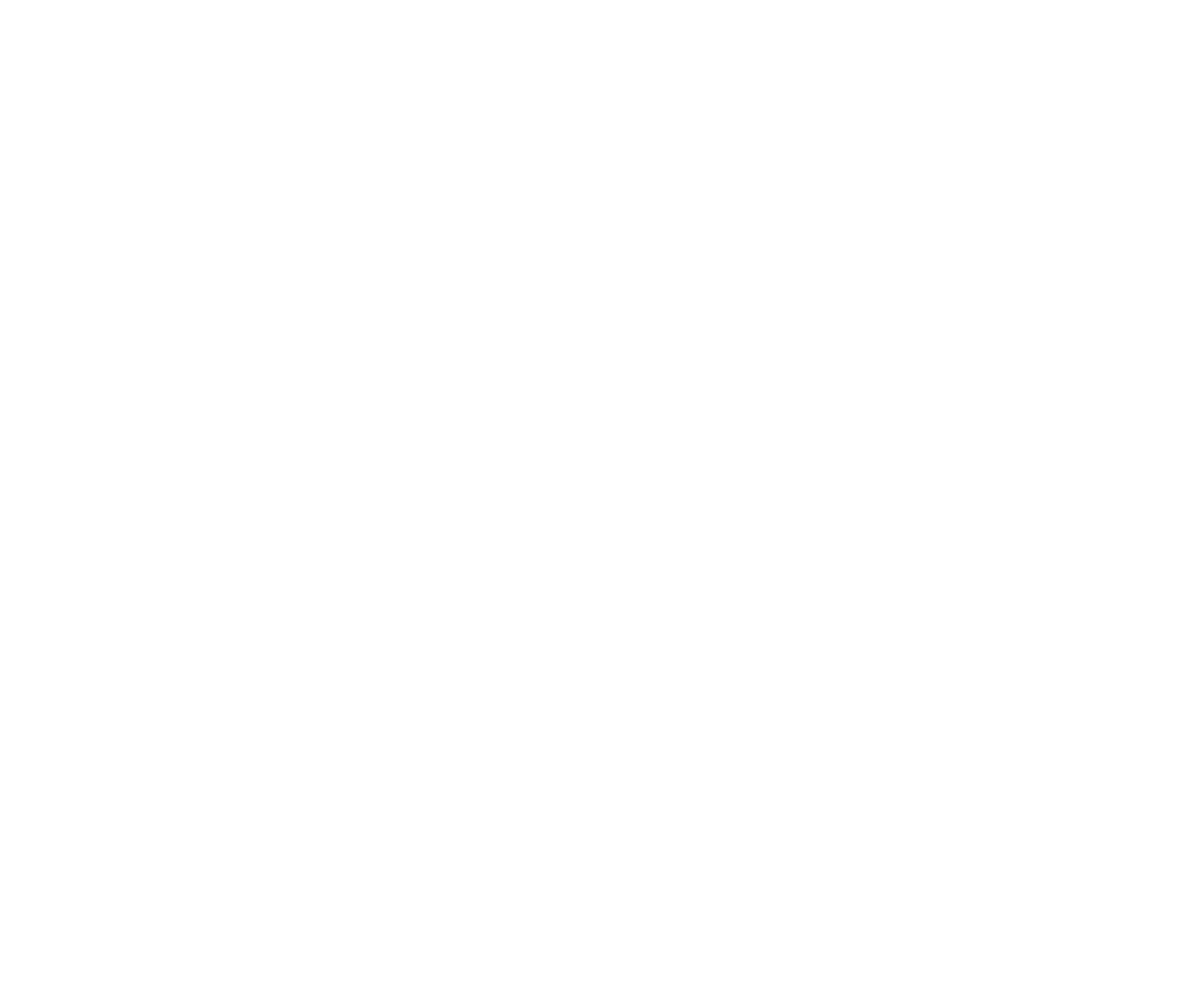 Organizador